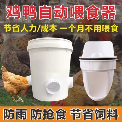 물과 동물 먹이를위한 누출 방지 스퀘어 플라스틱 버킷 1.0 ~ 2.5 mm 두께