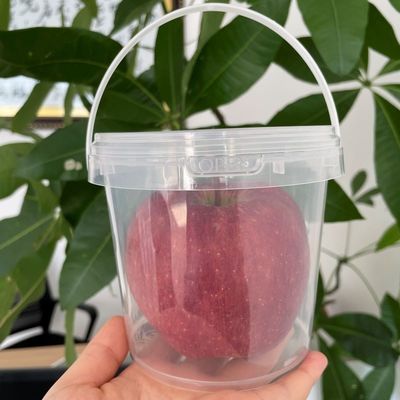 화학 1L-5L 맑은 버킷 팝콘 버킷 GAP/ISO/FDA 인증서